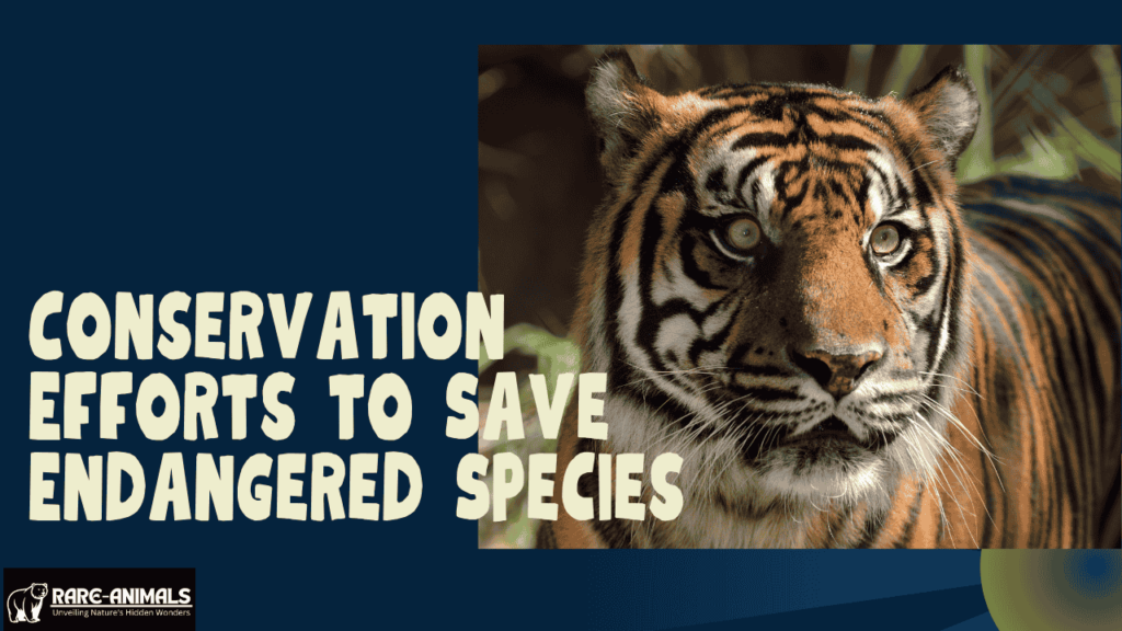 Conservation Efforts to Save Endangered Species