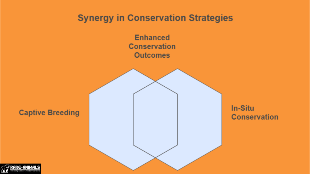 Balancing Captive Breeding with In-Situ Conservation