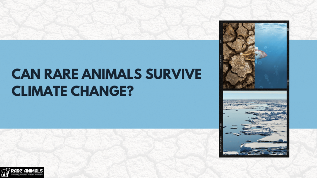 Can Rare Animals Survive Climate Change Surprising Facts