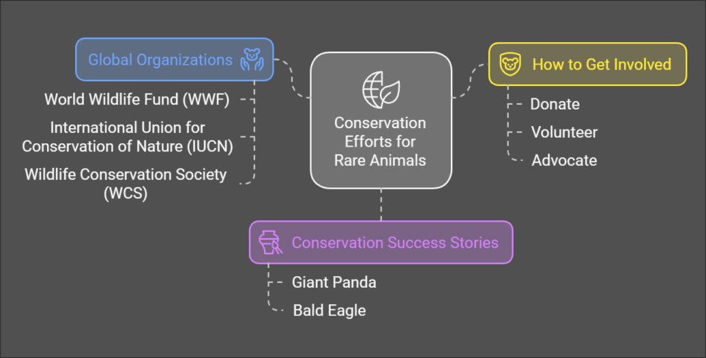 Conservation Efforts for Rare Animals