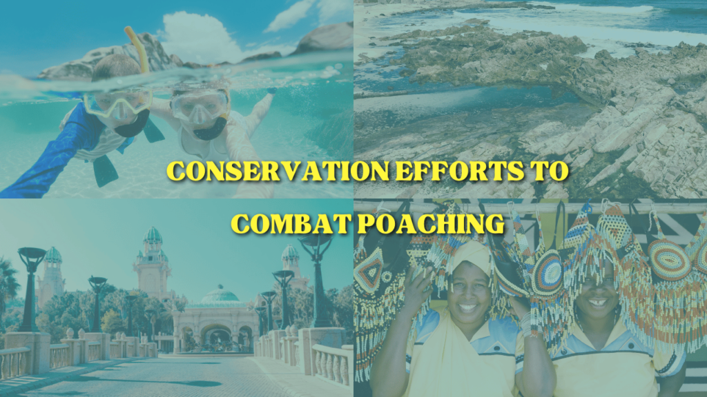 Conservation Efforts to Combat Poaching