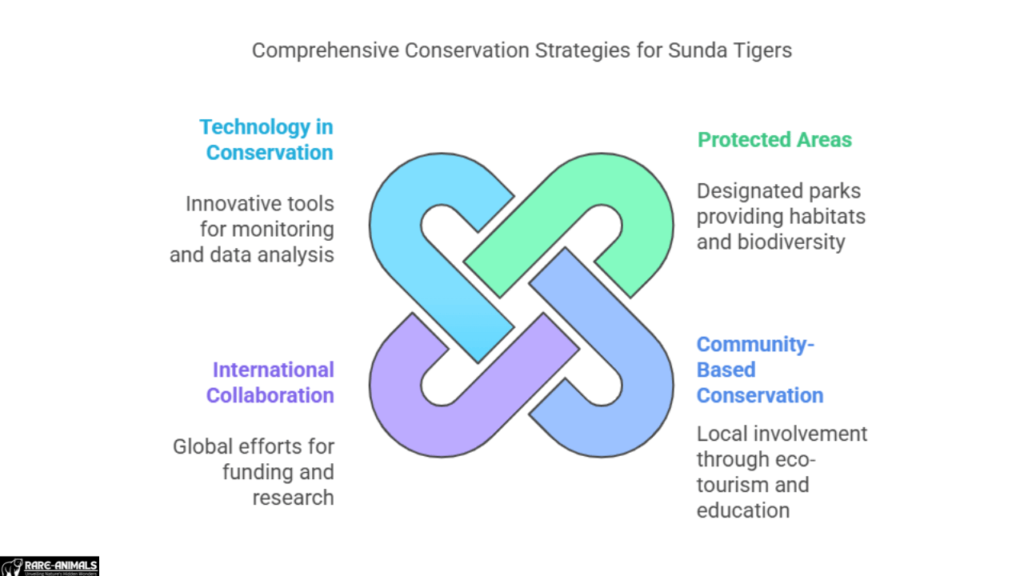 Conservation Efforts to Protect the Sunda Tiger