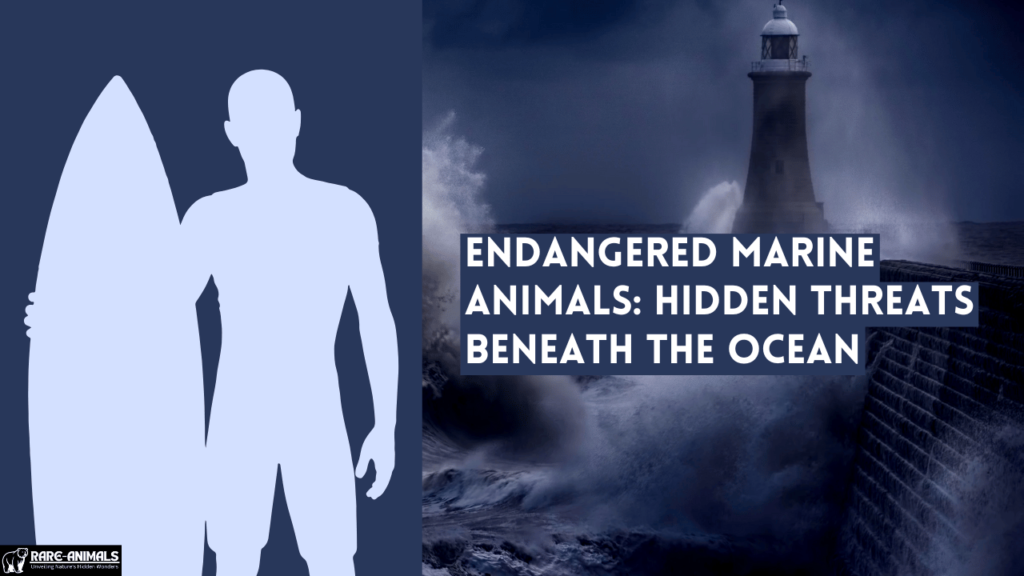 Endangered Marine Animals Hidden Threats Beneath the Ocean