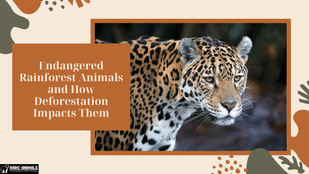 Endangered Rainforest Animals and How Deforestation Impacts Them