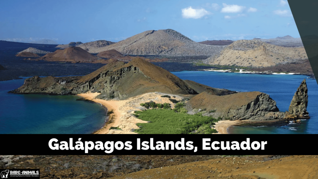 Galápagos Islands, Ecuador