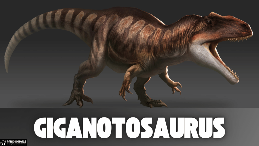 Giganotosaurus