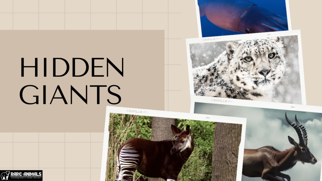 Hidden Giants: Rare Large Animals That Are Hard to Spot