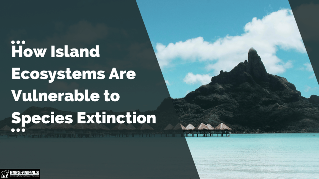 How Island Ecosystems Are Vulnerable to Species Extinction