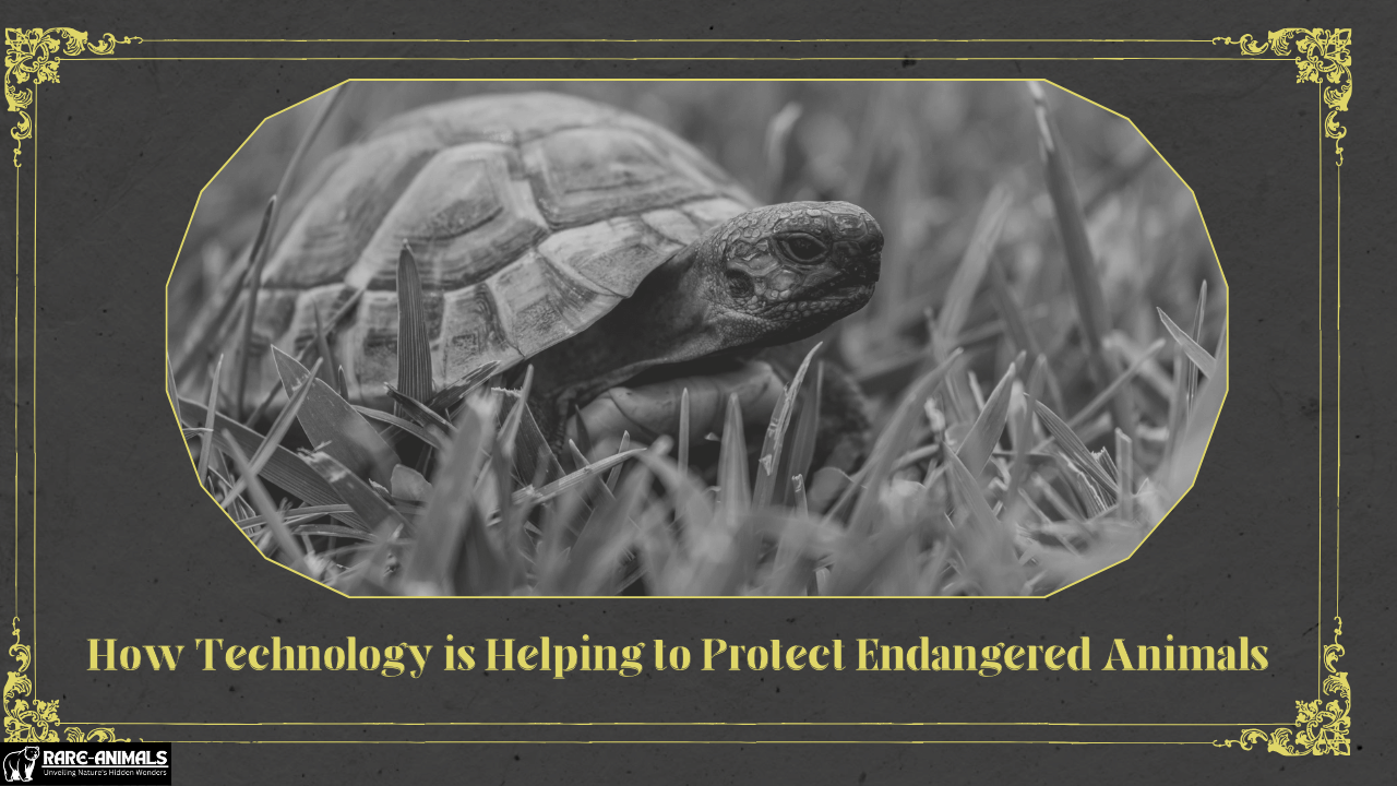 How Technology is Helping to Protect Endangered Animals