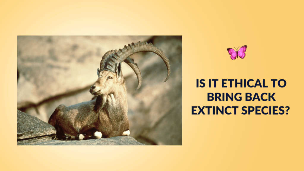 Is It Ethical to Bring Back Extinct Species Exploring the Science