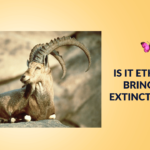 Is It Ethical to Bring Back Extinct Species Exploring the Science