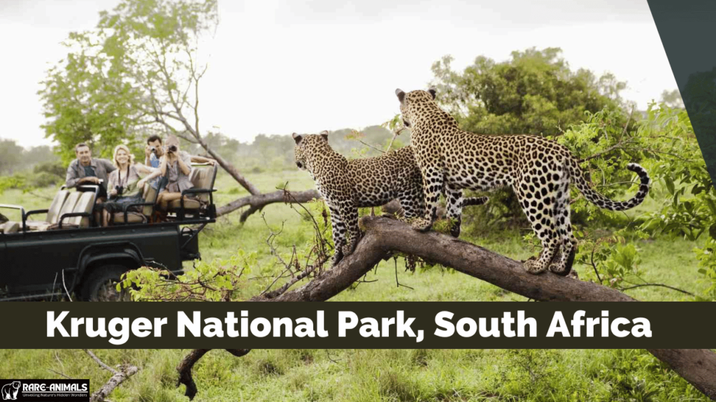 Kruger National Park, South Africa