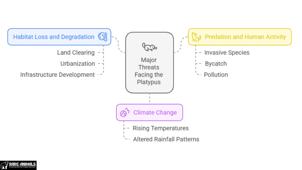 Major Threats Facing the Platypus