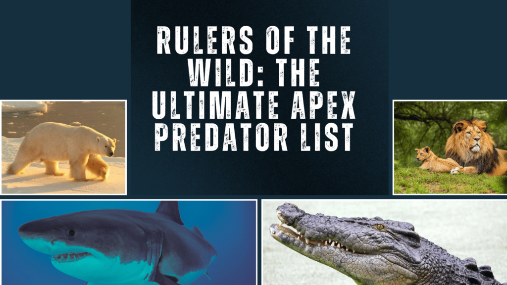 Rulers of the Wild: The Ultimate Apex Predator List