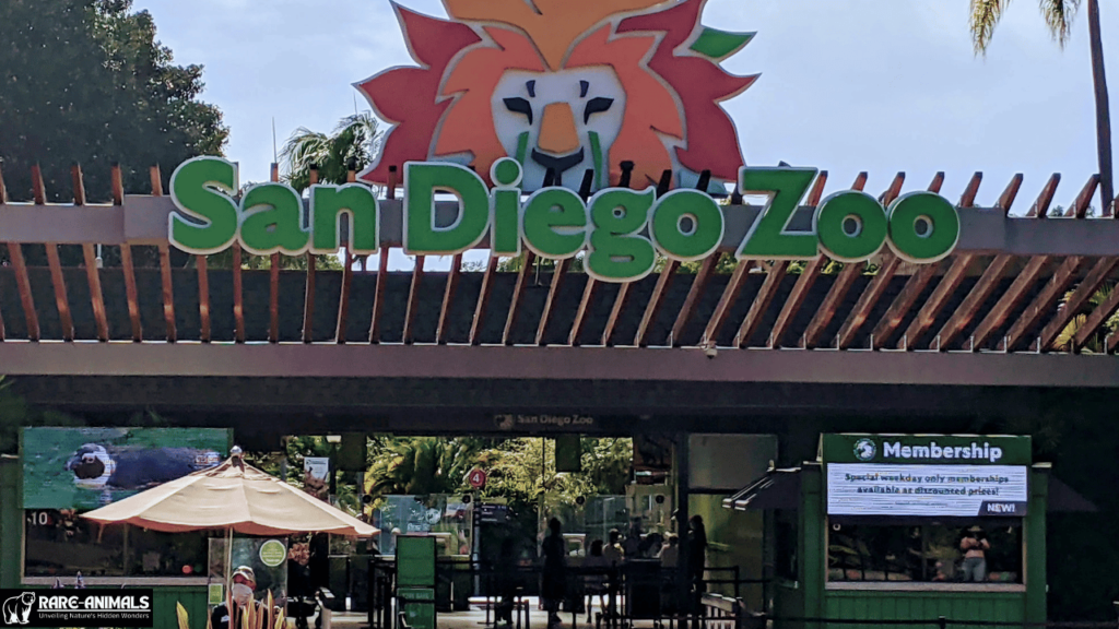 San Diego Zoo (California)