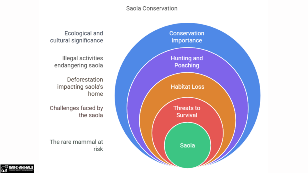  Saola Conservation