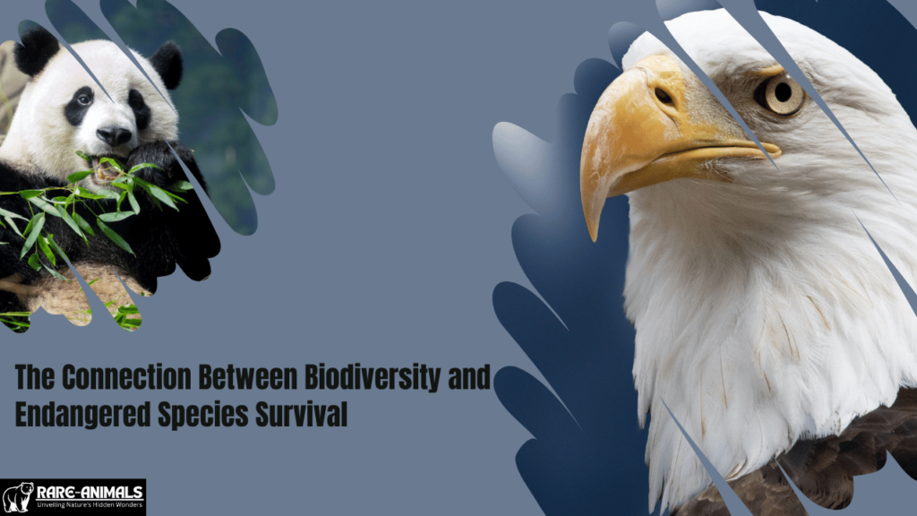 The Connection Between Biodiversity and Endangered Species Survival