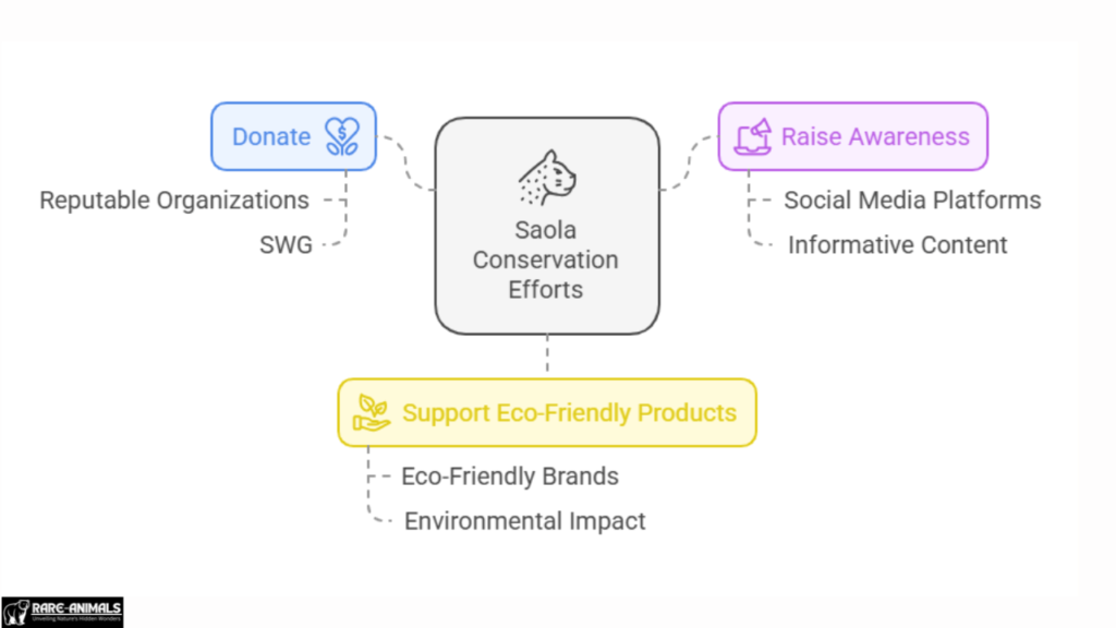 The Importance of Saola Conservation