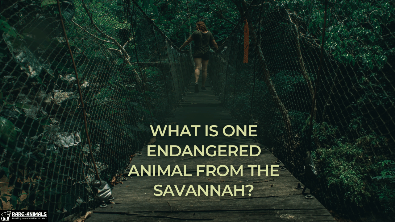 What Is One Endangered Animal from the Savannah