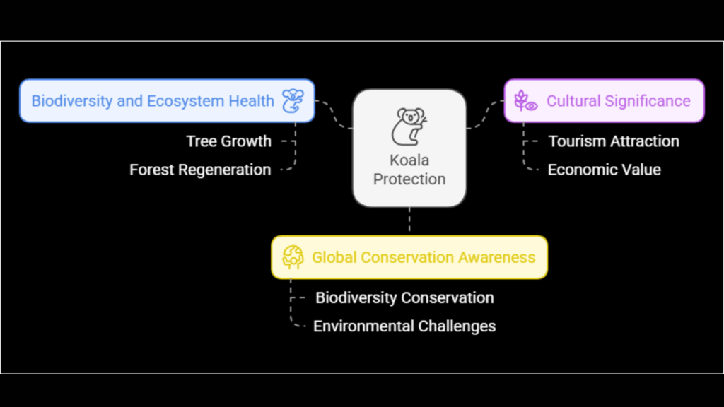 Why Protecting Koalas Matters