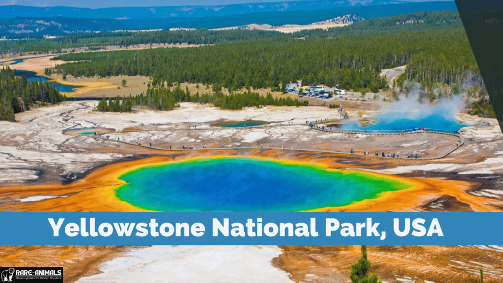 Yellowstone National Park, USA