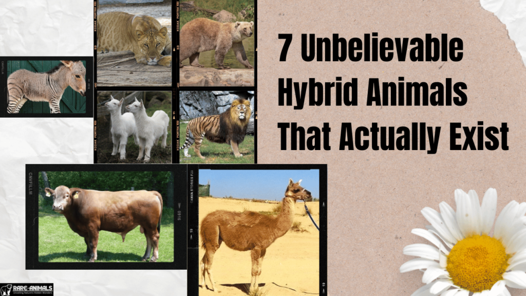 7 Unbelievable Hybrid Animals That Actually Exist