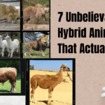 7 Unbelievable Hybrid Animals That Actually Exist