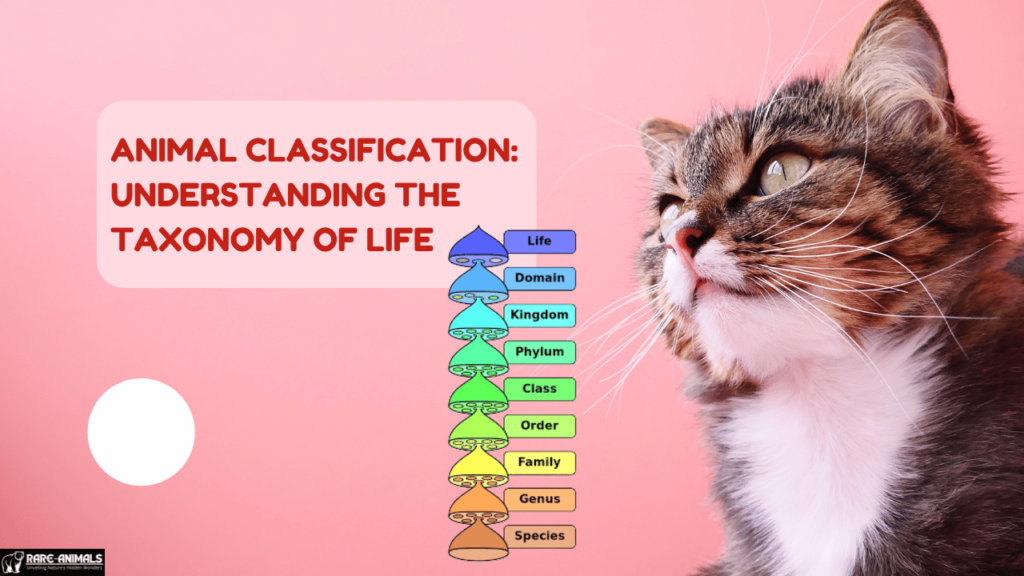 Animal Classification Understanding the Taxonomy of Life