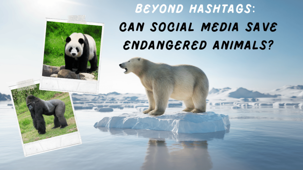 Can Social Media Save Endangered Animals