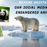 Can Social Media Save Endangered Animals