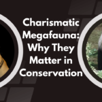 Charismatic Megafauna: Why They Matter in Conservation