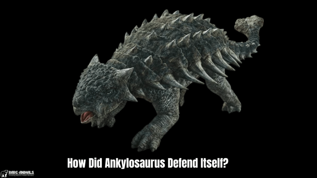 How Did Ankylosaurus Defend Itself?