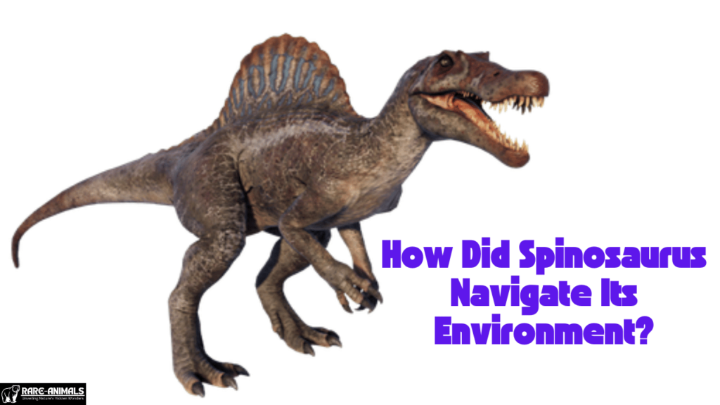 How Did Spinosaurus Navigate Its Environment