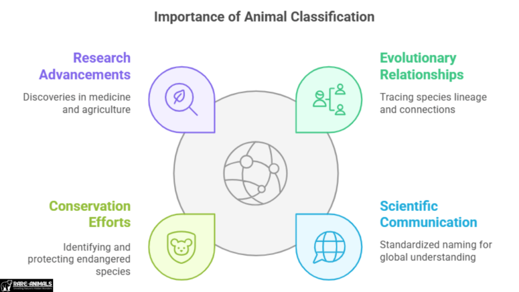 Importance of Animal Classification