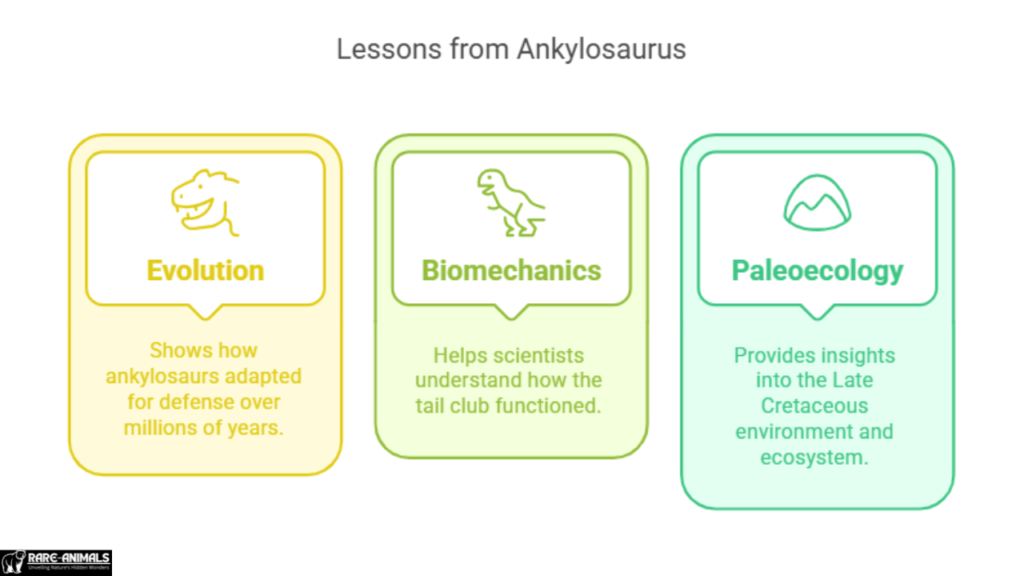 Lessons from Ankylosaurus