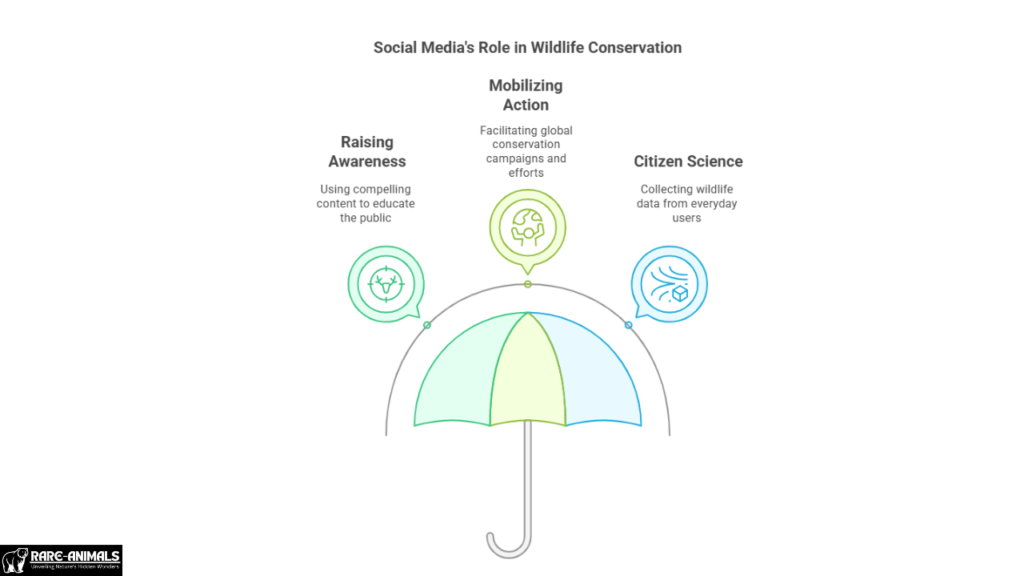 Social Media's Role in Wildlife Conservation