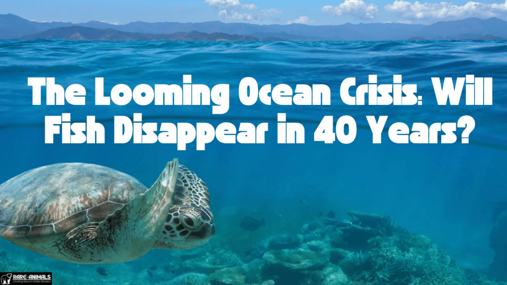 The Looming Ocean Crisis: Will Fish Disappear in 40 Years?