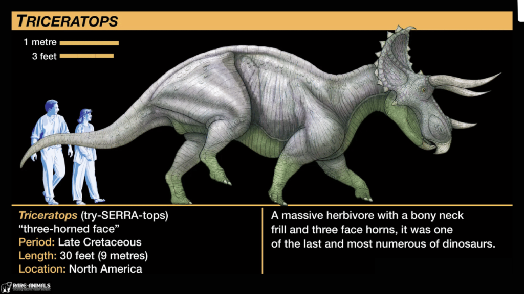 The Role of Triceratops in Prehistoric Ecosystems