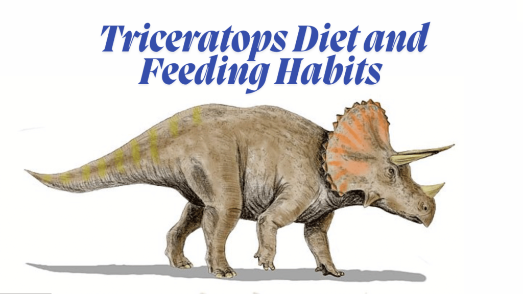  Triceratops Diet and Feeding Habits