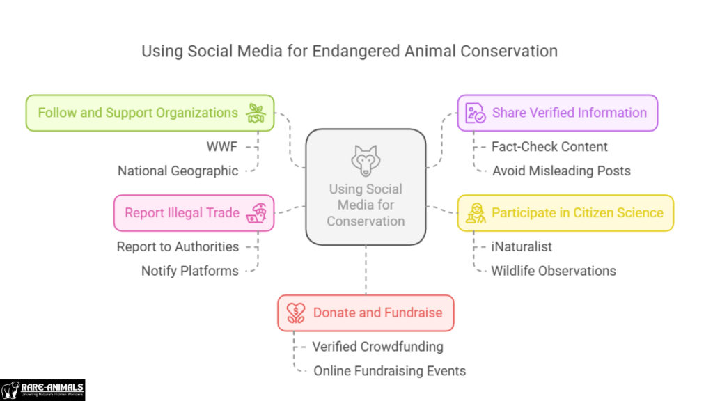 Using Social Media for Endangered Animal Conservation